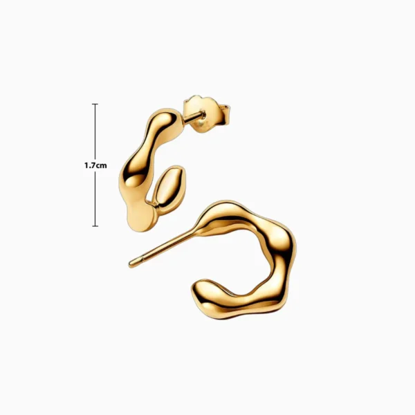Aretes Broquel De Plata Abierto Organico