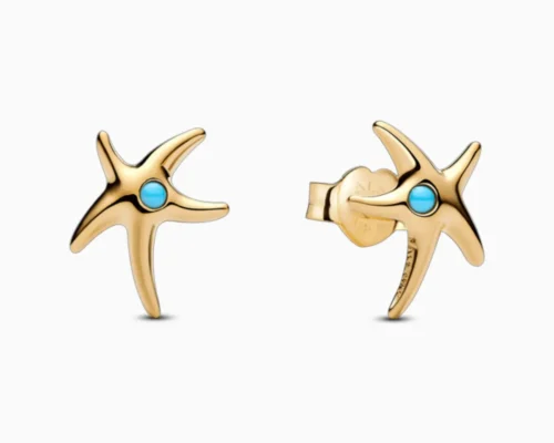 Aretes Broquel De Plata Estrella De Mar