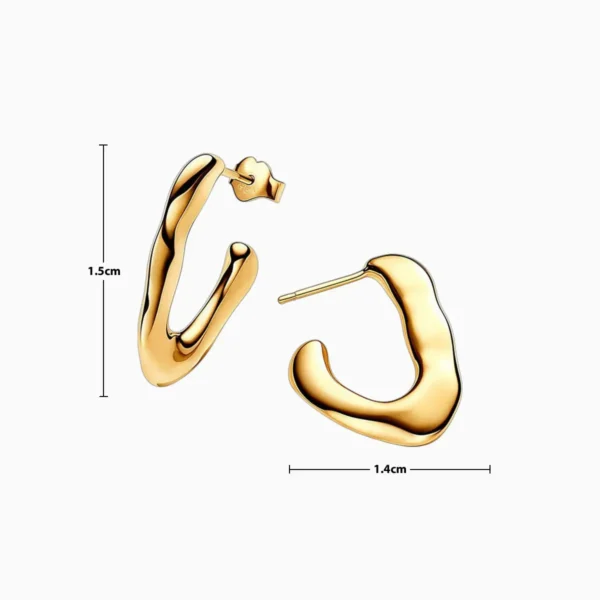 Aretes Broquel De Plata Forma Organica En V