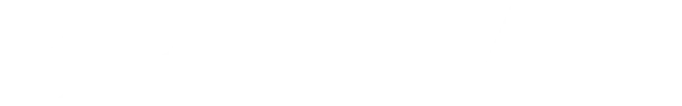 Logo blanco