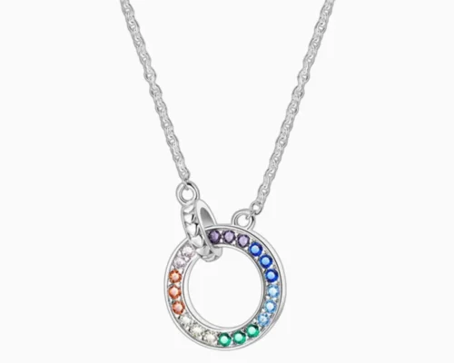 Collar De Plata Circulos Entrelazados Color
