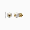 Aretes Broquel De Acero Oso En Perla Dorado